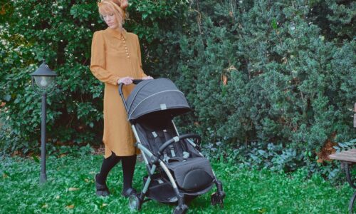 Chicco Goody Plus Stroller Review