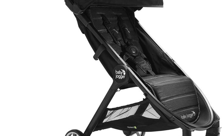 Baby Jogger City Tour 2 Travel Stroller Review