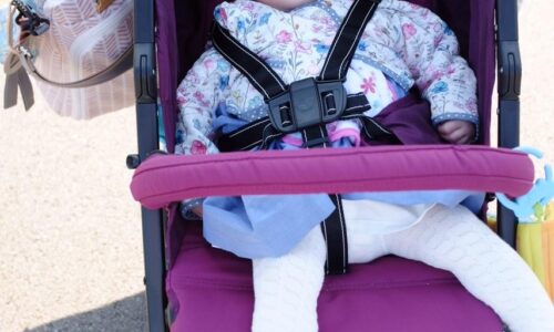 Joie Baby Nitro LX Stroller Review