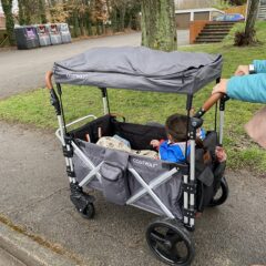 COSTWAY Push Pull Stroller Wagon Review
