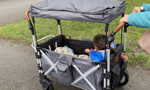 COSTWAY Push Pull Stroller Wagon Review