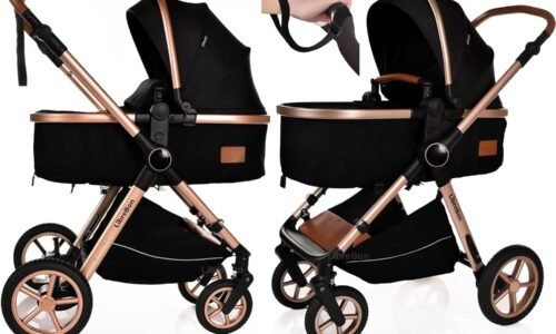 Baby Buggy Pram 3-in-1 Stroller (Blue Gold) review