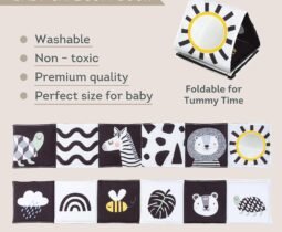 Taf Toys 3-in-1 Clip-On Pram Book review